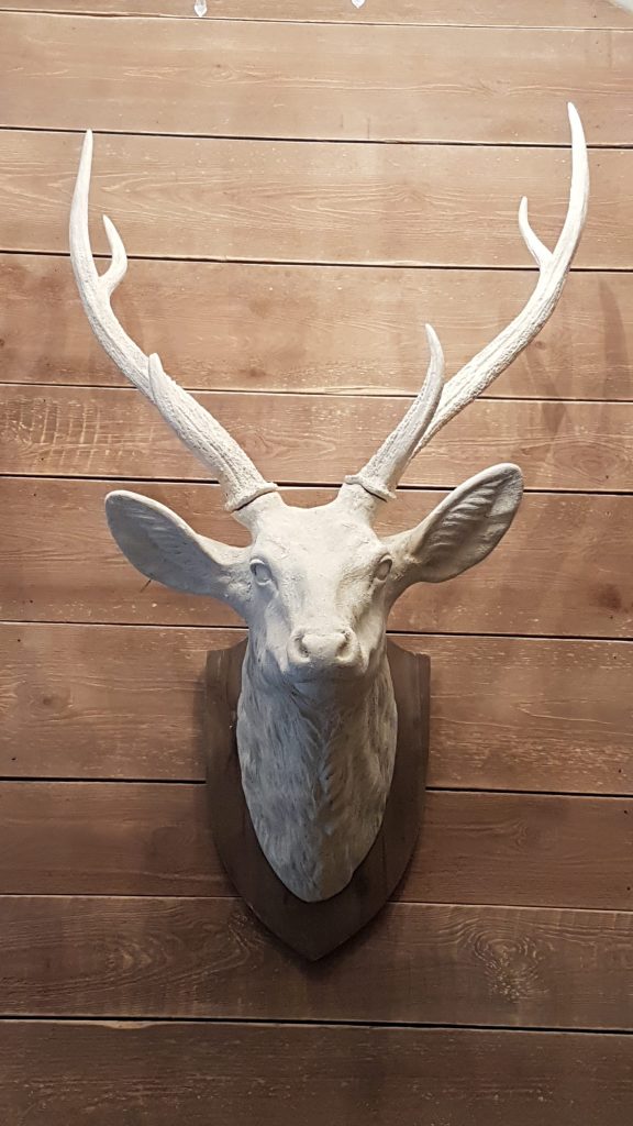 life-size white stag head prop to hire for weddings, parties, events and film