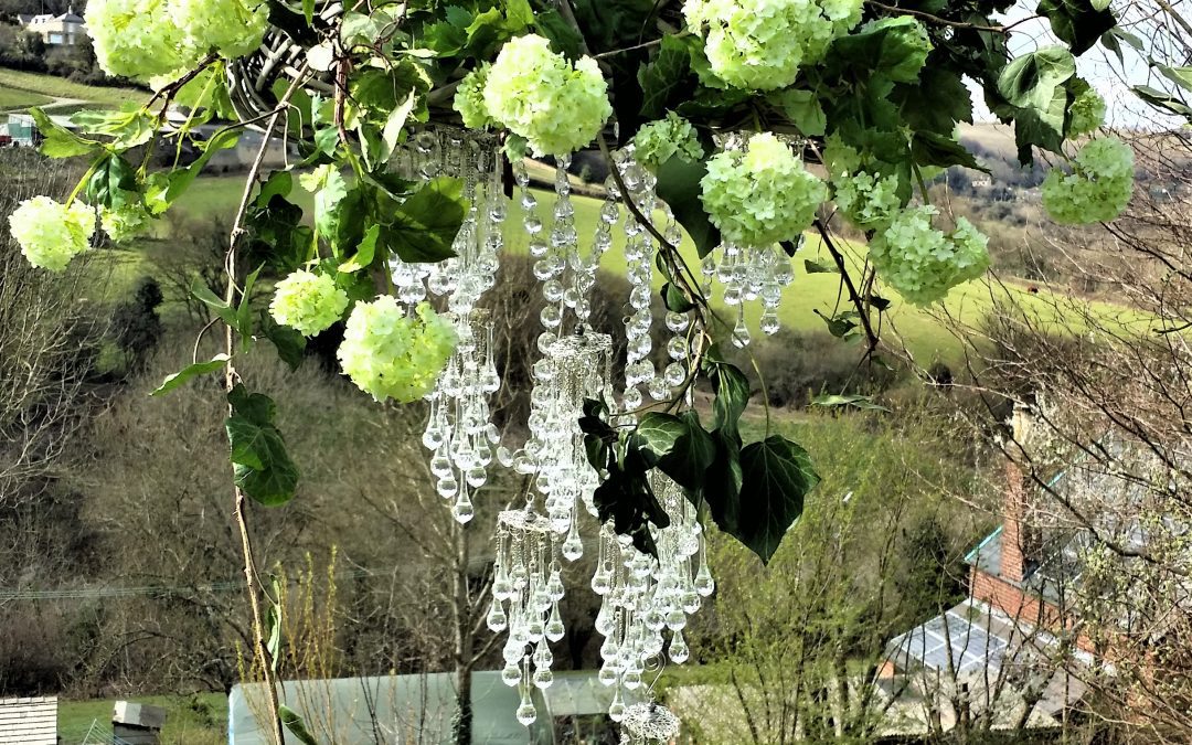 Spring Blossom
