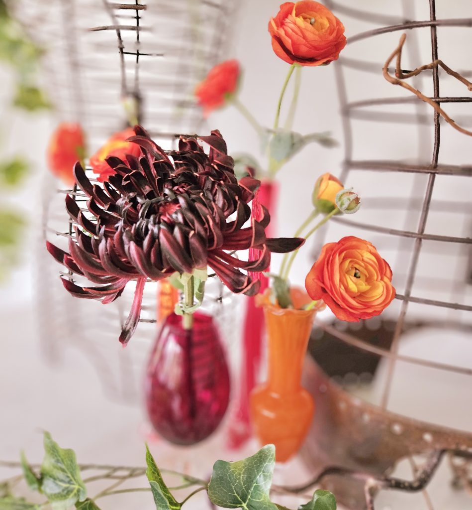 red and orange vintage vases filled with a single stem purple dahlia and orange ranunculi very autumnal for hire